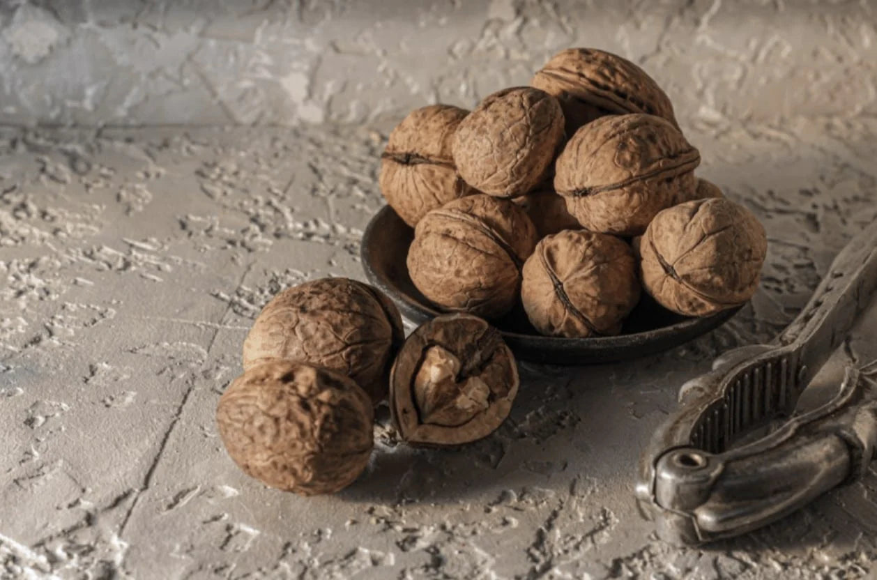 Science Corner - Walnuts